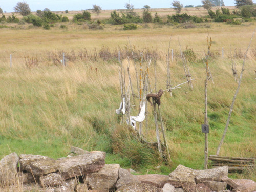 Viking Fortress Interior Structures.